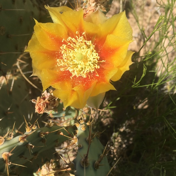 Meet your Posher, Christina - Picture 1 of 1